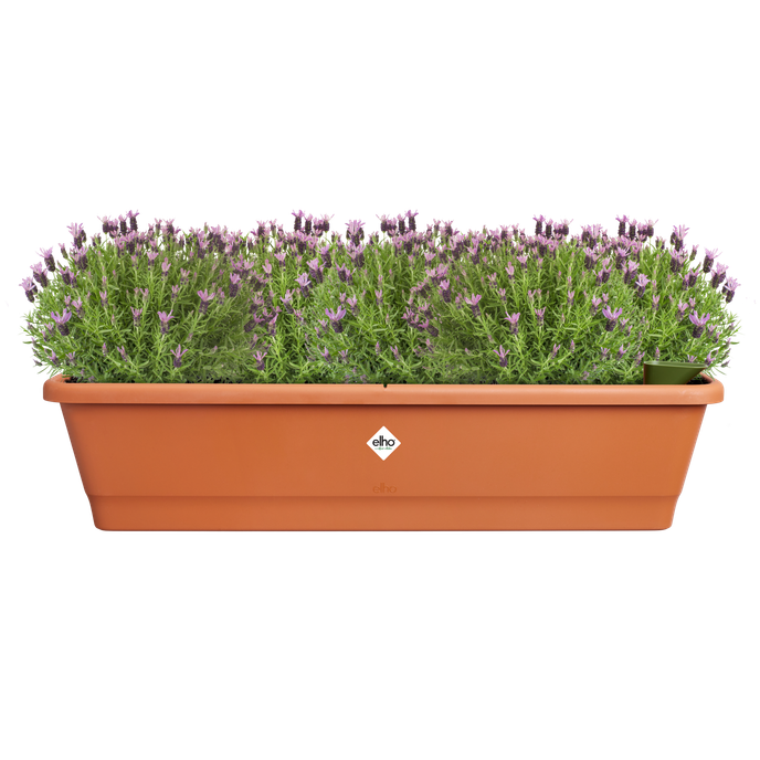 noa balcony trough xl terra